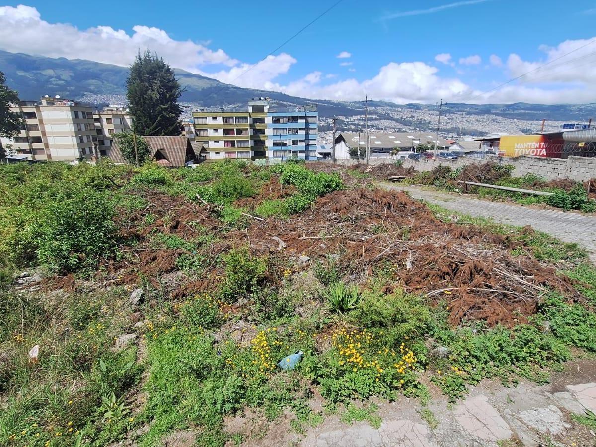 Renta o Venta Terreno Sobre La Av Galo Plaza Laso Inf Cbr Carla del Pino — imagen 3