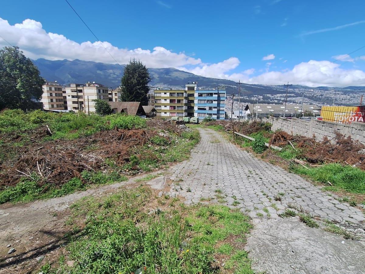 Renta o Venta Terreno Sobre La Av Galo Plaza Laso Inf Cbr Carla del Pino — imagen 2