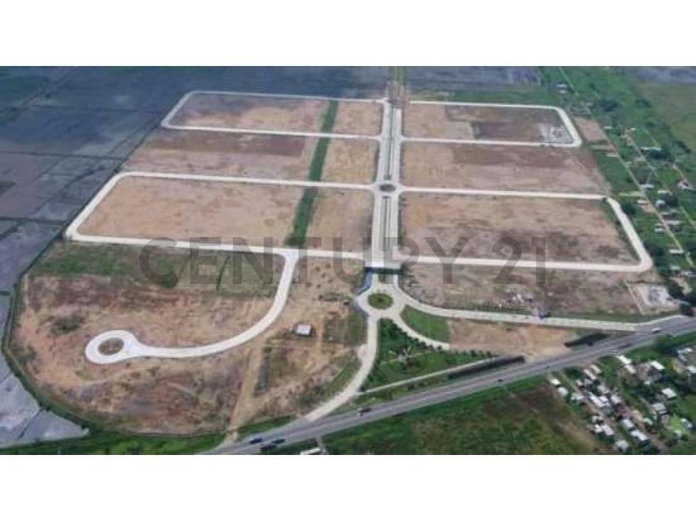 Terreno Industrial en Venta Via Durán Yaguachi, Piady, Guayas — imagen 4