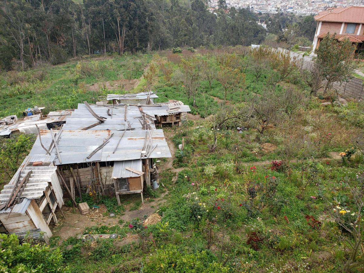 Terreno con Casa Rentera de Dos Departamentos y Suite en Venta. Pinllo Ambato, Tungurahua — imagen 10