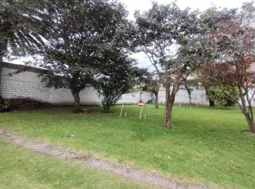 Venta Terreno Plano - Av Ilaló - Los Chillos — imagen 3