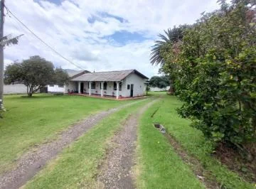Venta Terreno Plano - Av Ilaló - Los Chillos — imagen 2