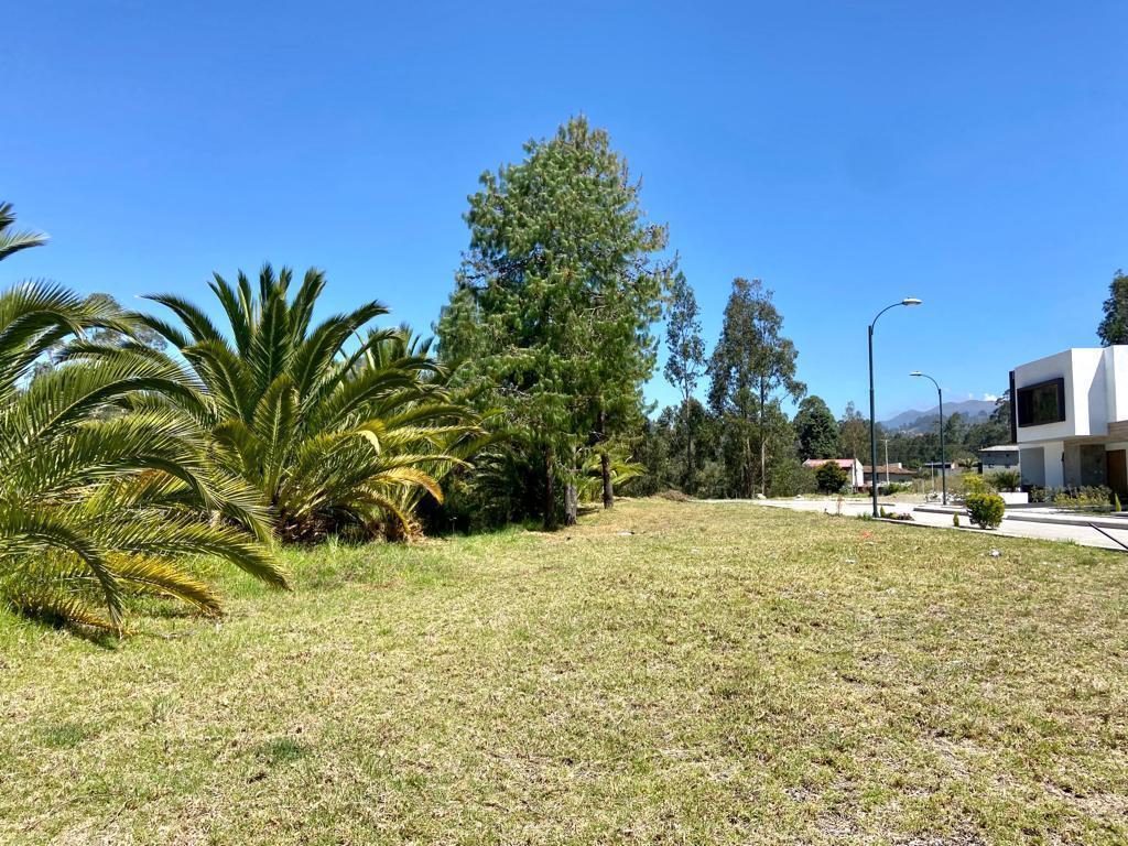 Hermosos Terrenos en Venta, Sector Capulispamba, Azuay — imagen 10