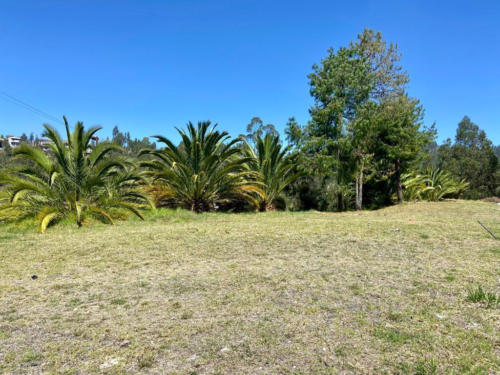 Hermosos Terrenos en Venta, Sector Capulispamba, Azuay — imagen 9