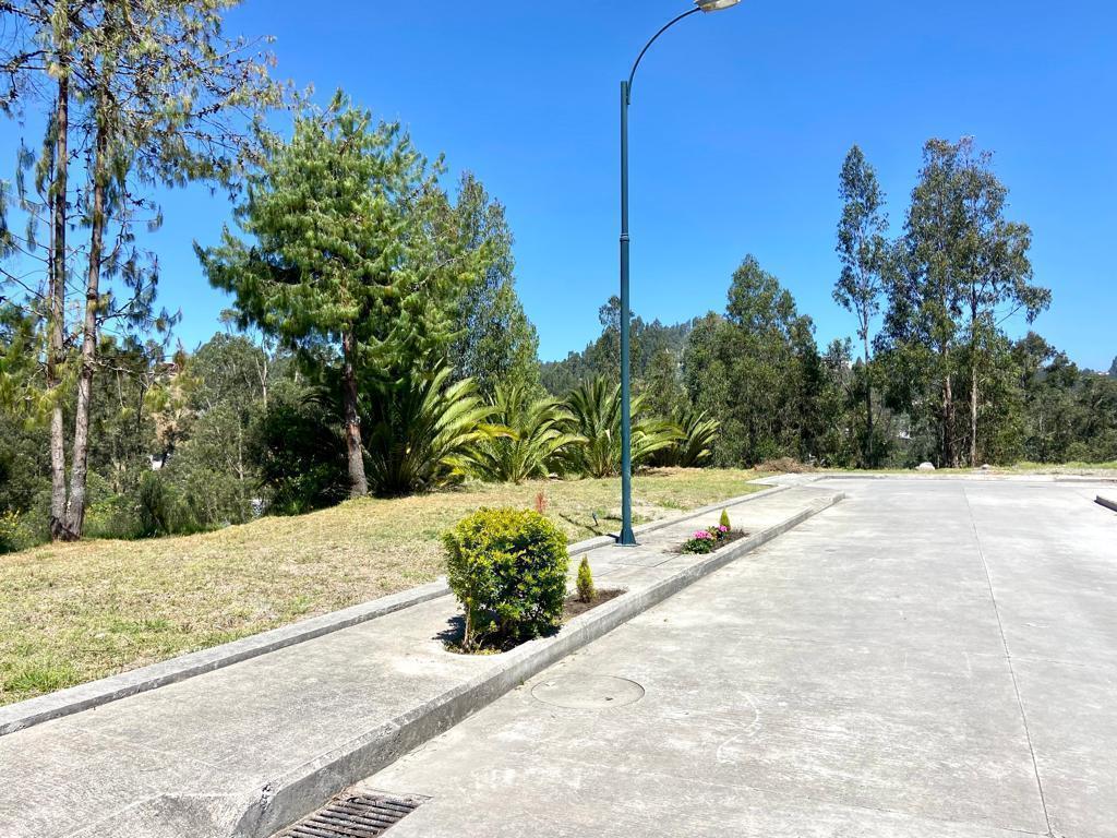 Hermosos Terrenos en Venta, Sector Capulispamba, Azuay — imagen 4