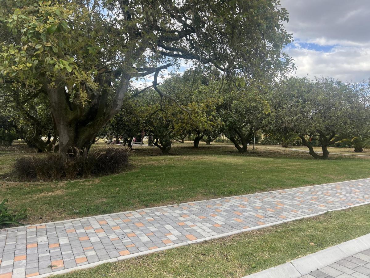 Puembo Terrenos de Venta en Urbanizacion Exclusiva — imagen 10