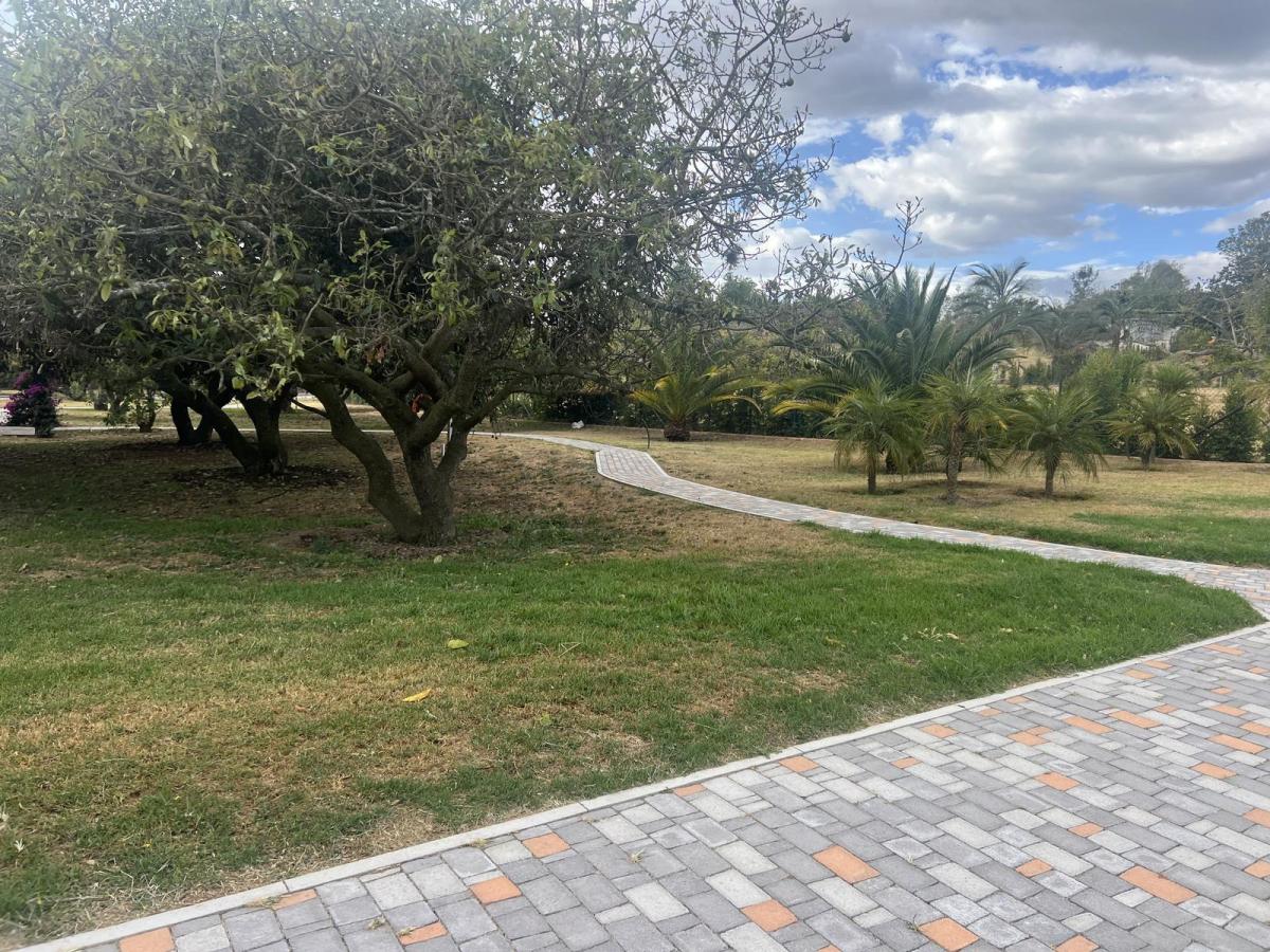 Puembo Terrenos de Venta en Urbanizacion Exclusiva — imagen 7