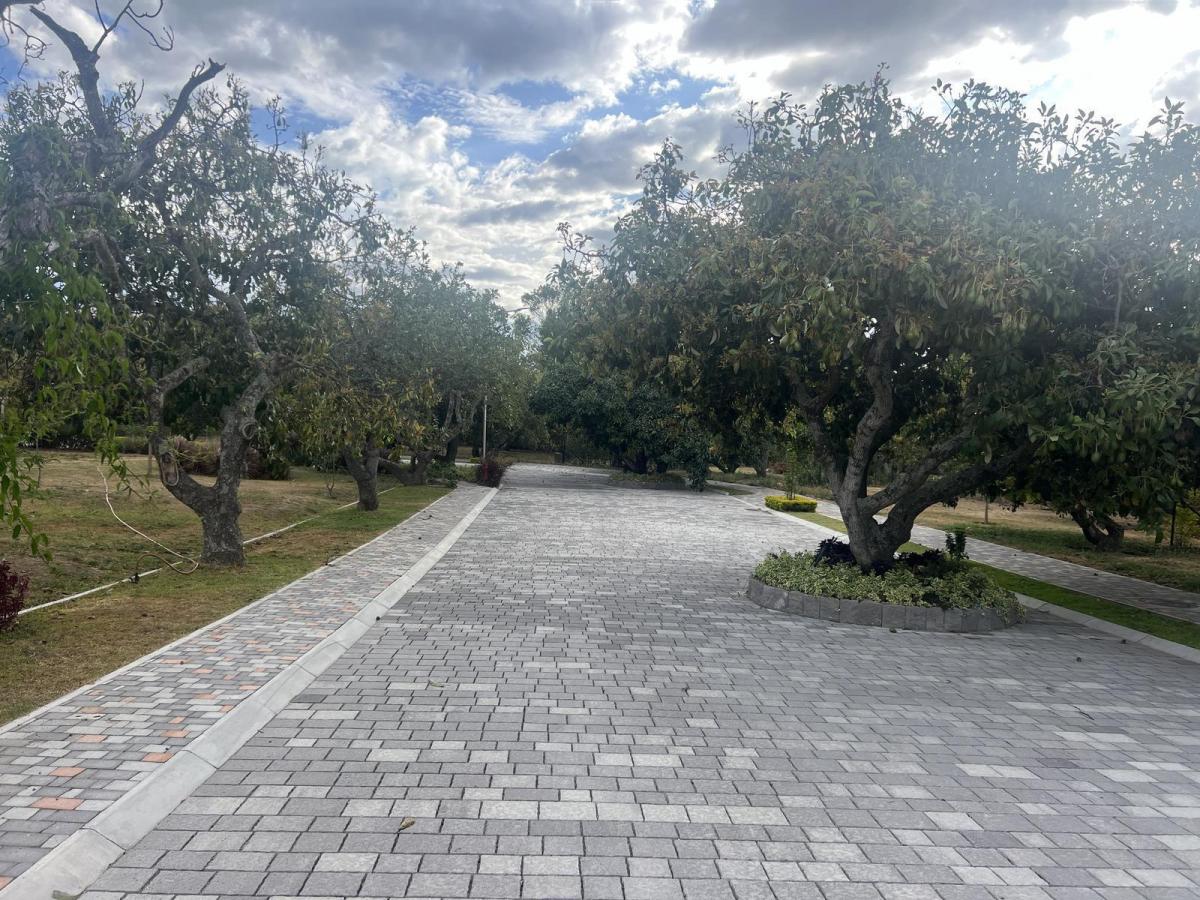Puembo Terrenos de Venta en Urbanizacion Exclusiva — imagen 4