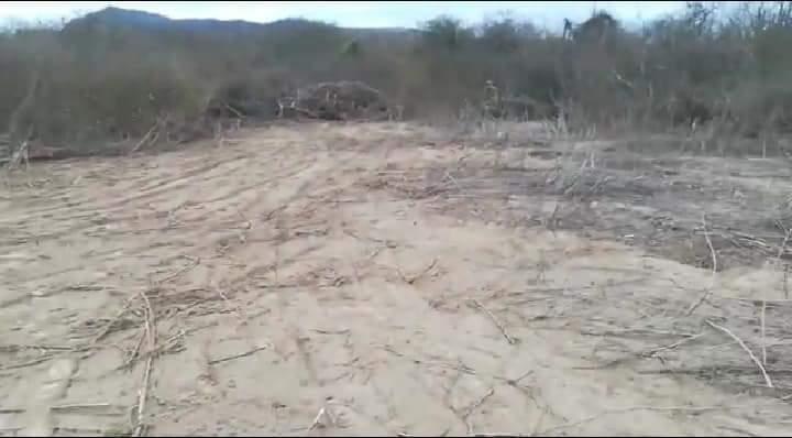 Terreno 36.000 m² en Venta - Puerto Cayo, Manabí, Manabí — imagen 5