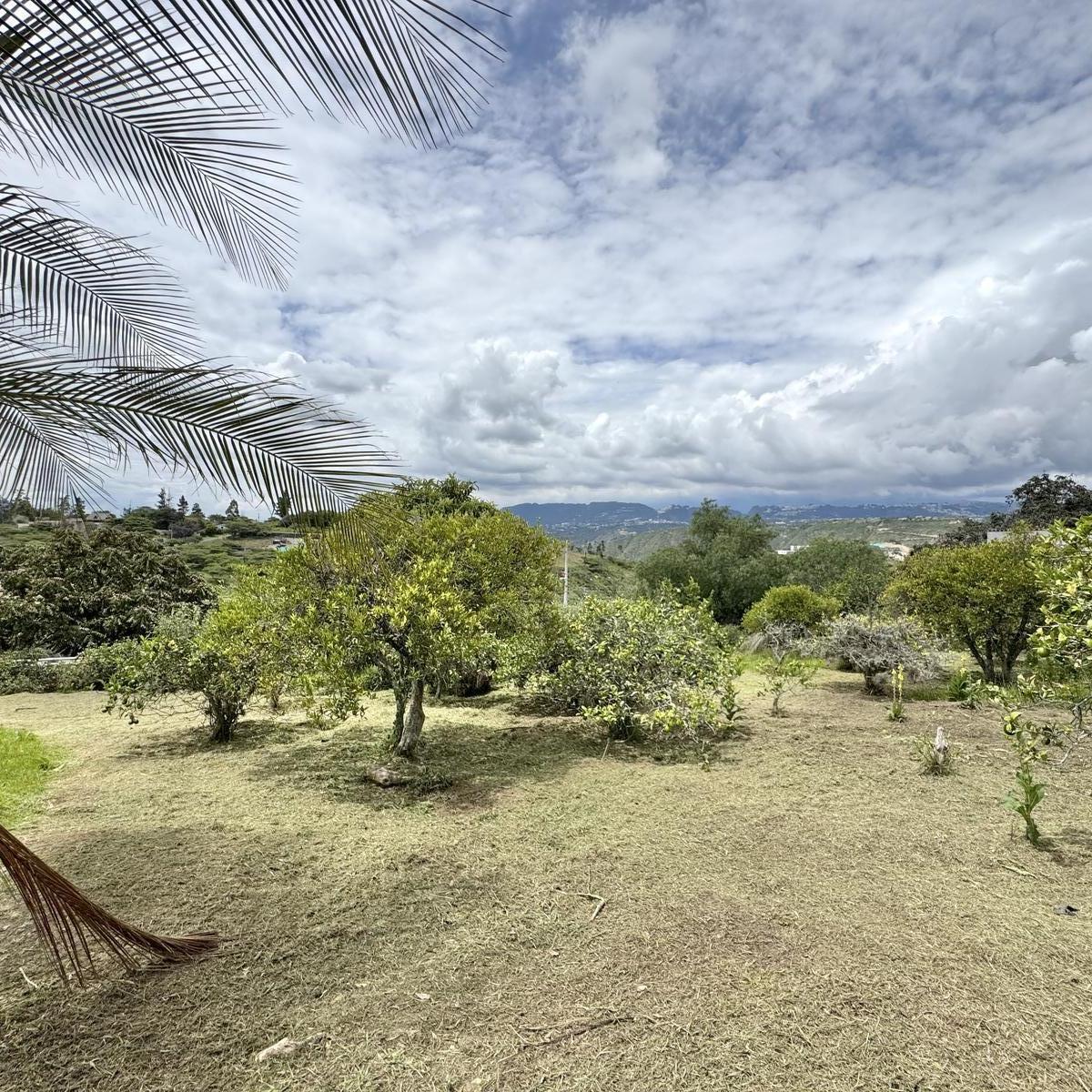Terreno de Venta en Puembo, Sector Nápoles — imagen 1