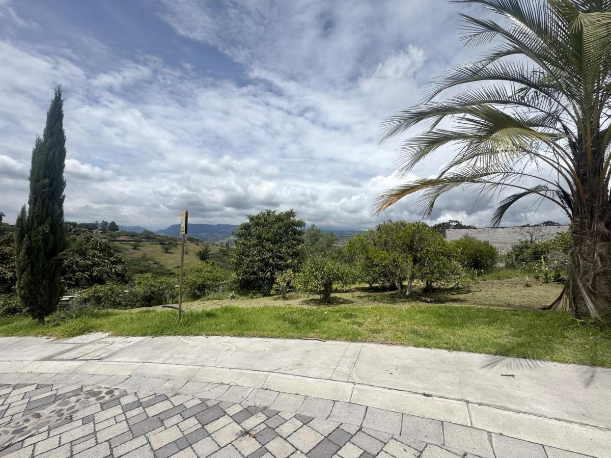 Terreno de Venta en Puembo, Sector Nápoles — imagen 10