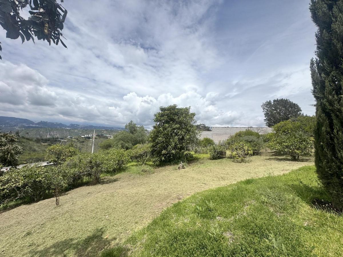 Terreno de Venta en Puembo, Sector Nápoles — imagen 9