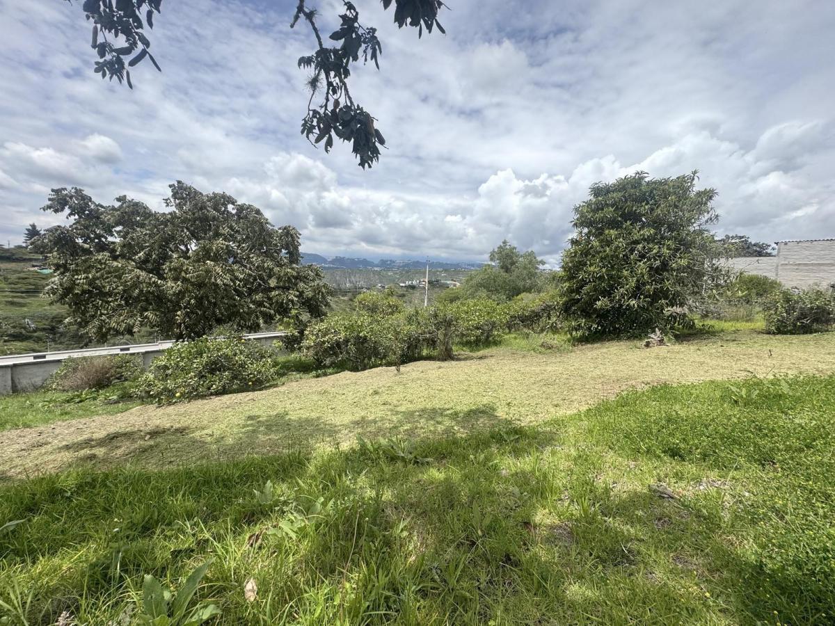 Terreno de Venta en Puembo, Sector Nápoles — imagen 8