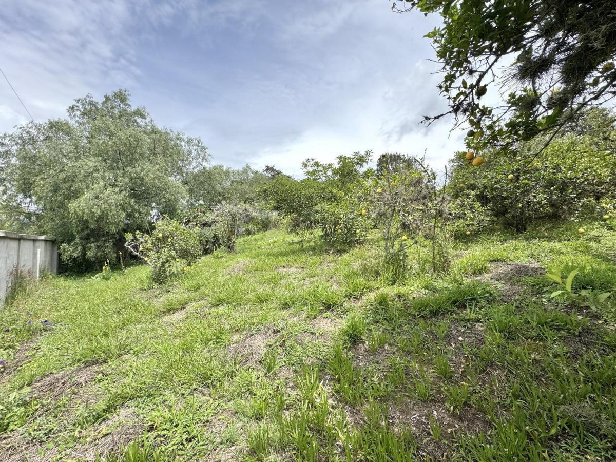 Terreno de Venta en Puembo, Sector Nápoles — imagen 7