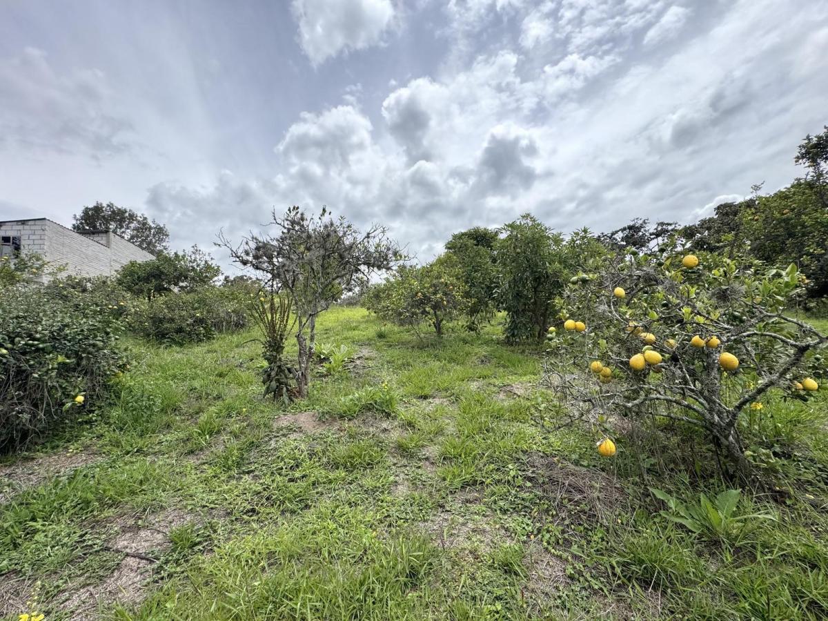 Terreno de Venta en Puembo, Sector Nápoles — imagen 6