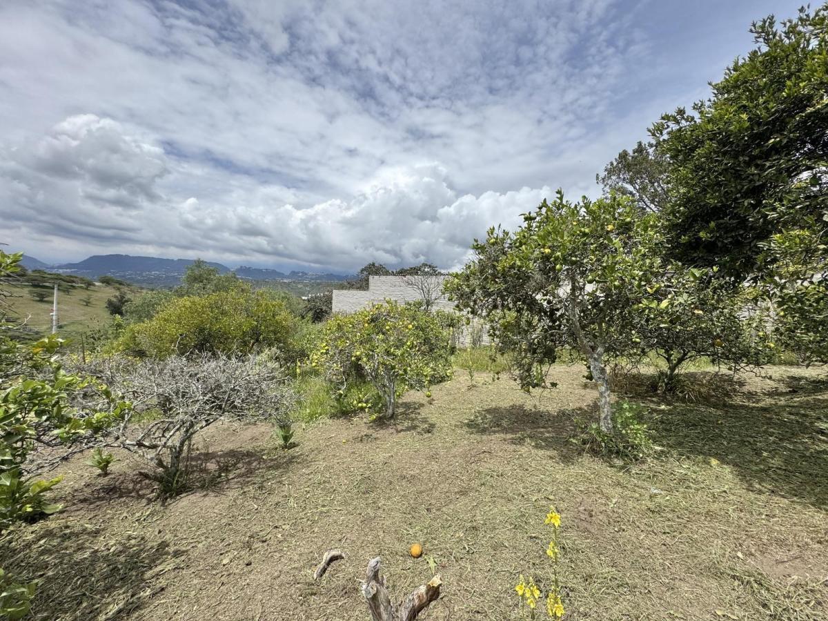 Terreno de Venta en Puembo, Sector Nápoles — imagen 5
