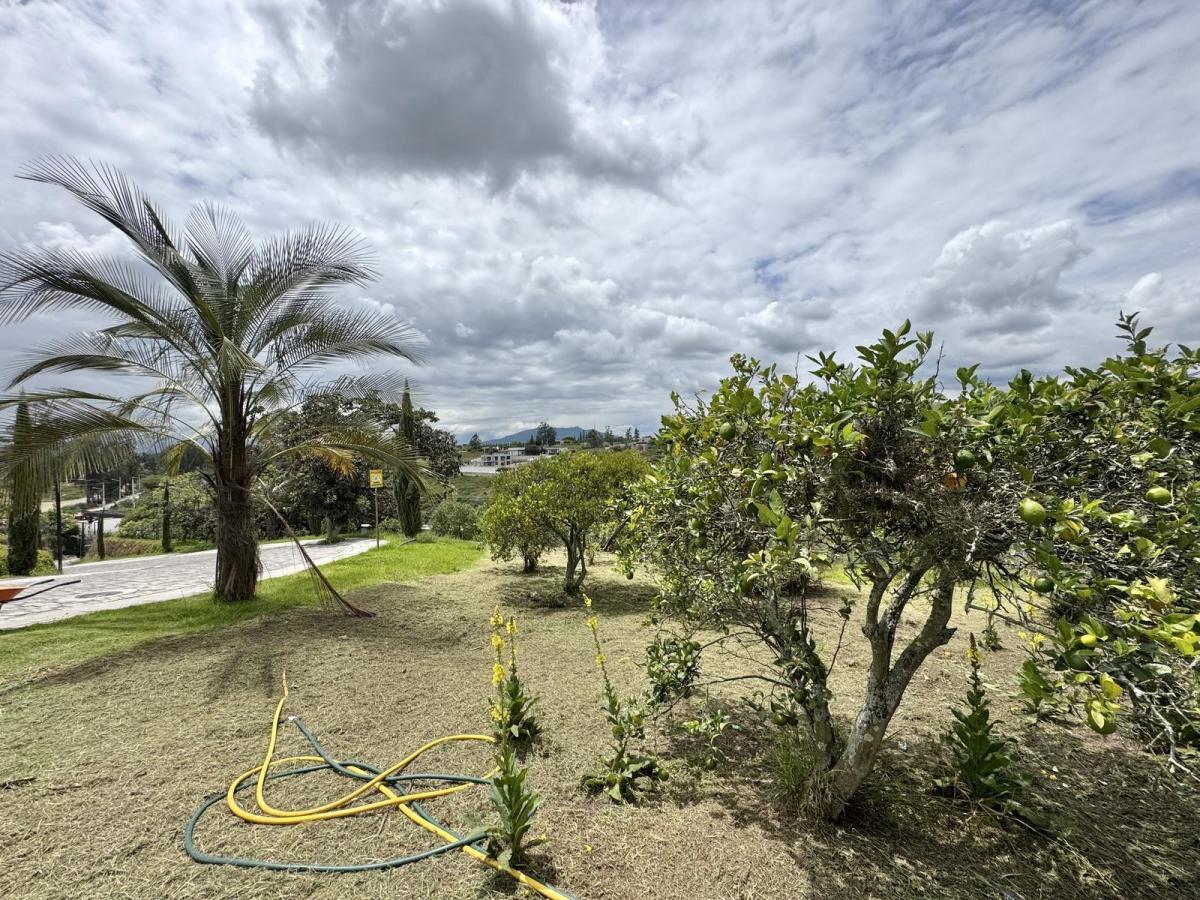 Terreno de Venta en Puembo, Sector Nápoles — imagen 4