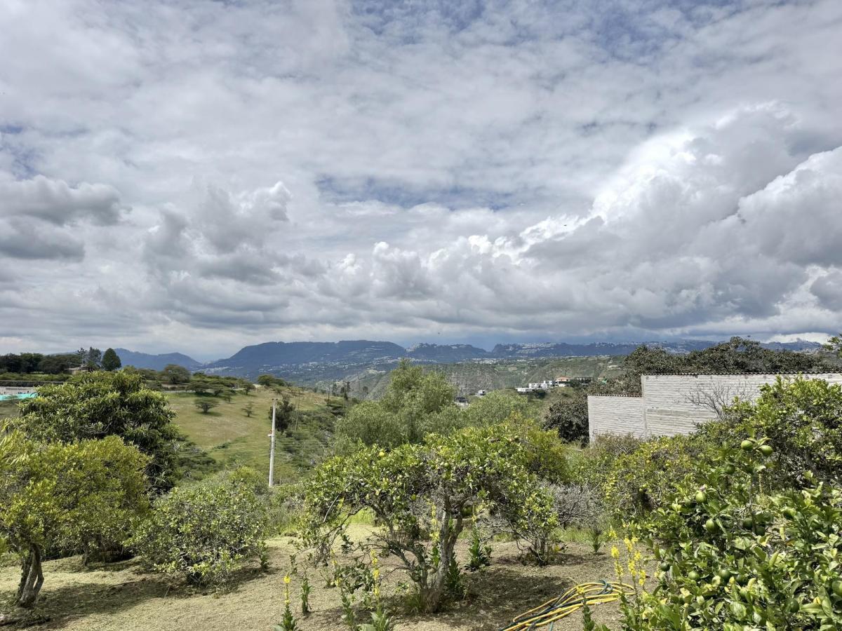Terreno de Venta en Puembo, Sector Nápoles — imagen 3