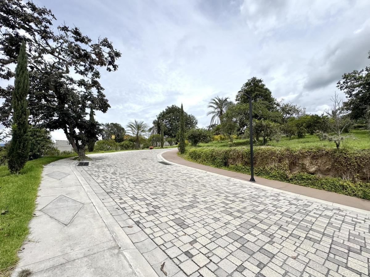 Terreno de Venta en Puembo, Sector Nápoles — imagen 2