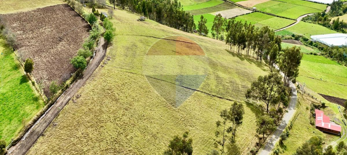 Terreno de Venta en Cayambe - Paquiestancia 32.950 m² — imagen 10