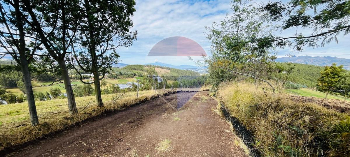 Terreno de Venta en Cayambe - Paquiestancia 32.950 m² — imagen 7