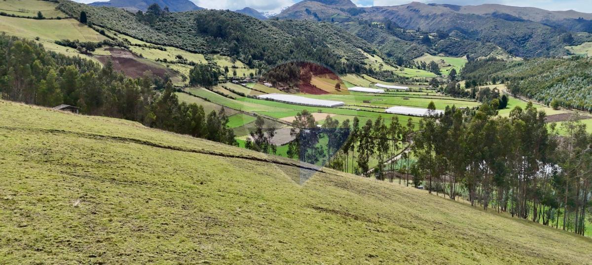 Terreno de Venta en Cayambe - Paquiestancia 32.950 m² — imagen 6