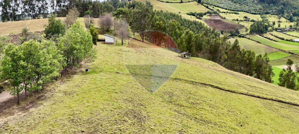 Terreno de Venta en Cayambe - Paquiestancia 32.950 m² — imagen 5