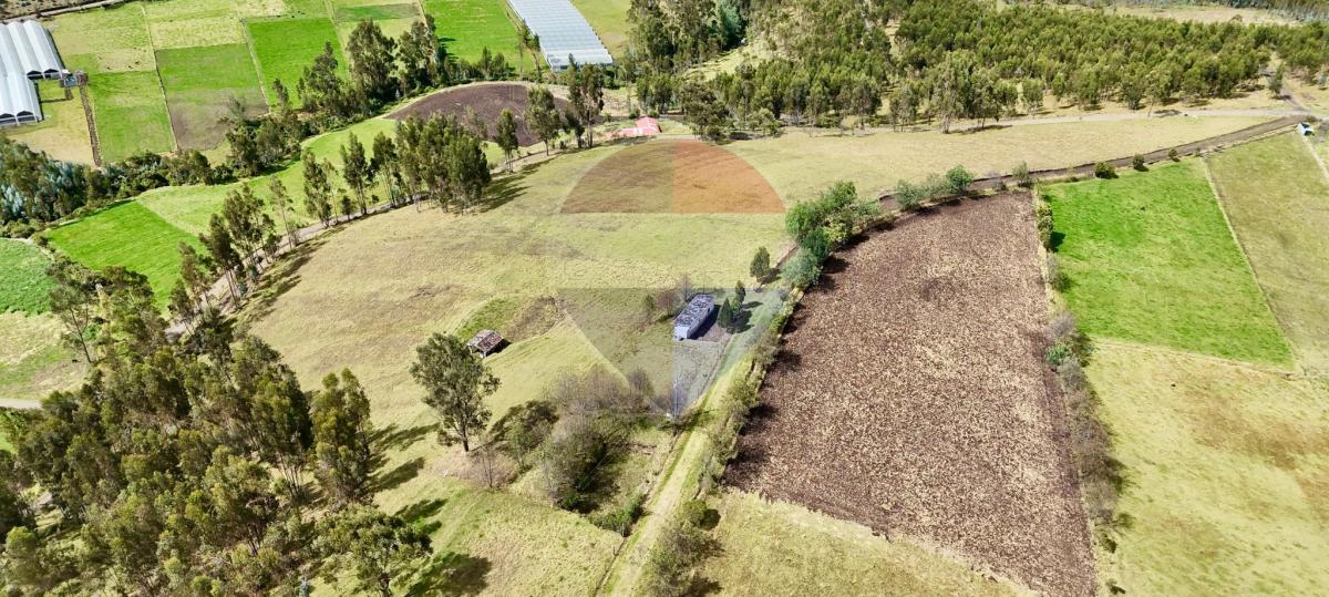 Terreno de Venta en Cayambe - Paquiestancia 32.950 m² — imagen 4