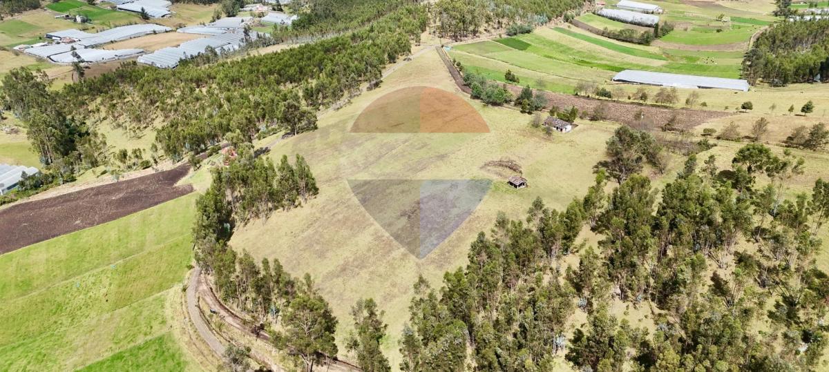 Terreno de Venta en Cayambe - Paquiestancia 32.950 m² — imagen 3