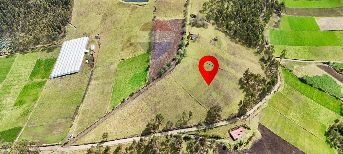 Terreno de Venta en Cayambe - Paquiestancia 32.950 m² — imagen 2