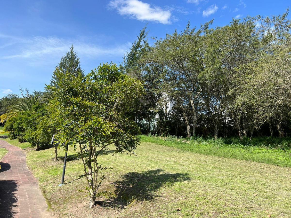 Mv - en Puembo, en Venta Terreno 2113 m² del Lado de Las Canchas de Golf, Club Privado Arrayanes — imagen 8