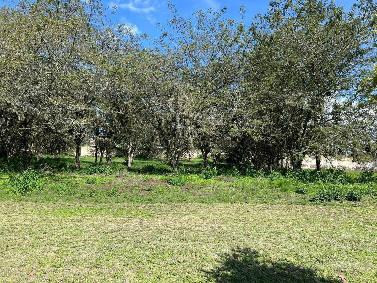 Mv - en Puembo, en Venta Terreno 2113 m² del Lado de Las Canchas de Golf, Club Privado Arrayanes — imagen 7