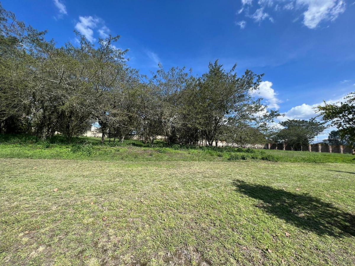Mv - en Puembo, en Venta Terreno 2113 m² del Lado de Las Canchas de Golf, Club Privado Arrayanes — imagen 3