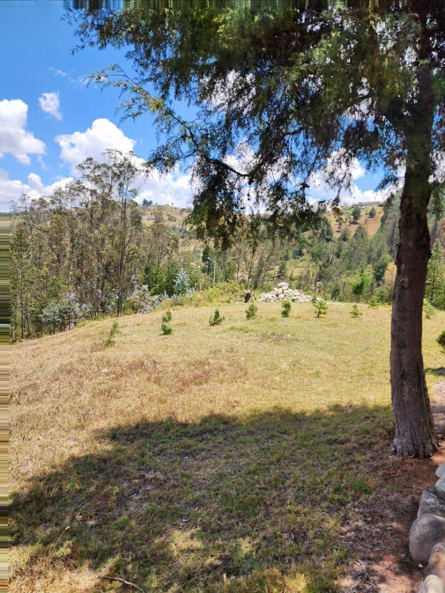 Venta de Terreno de 8 Hectáreas con Bosque de Pino en Tutupali, Azuay — imagen 10
