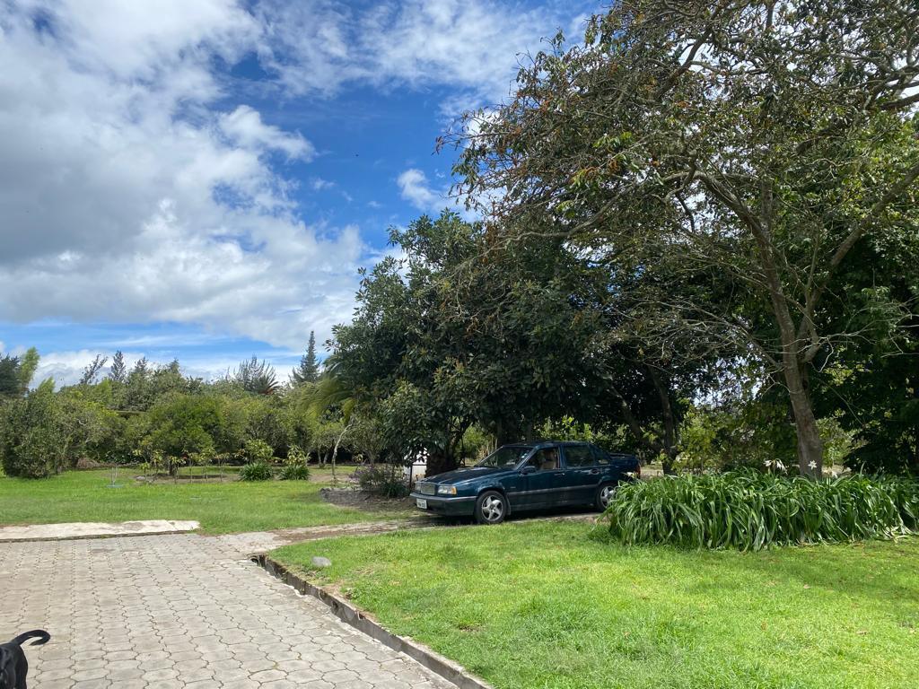 Terreno de Venta en Puembo Sector La Palma — imagen 10