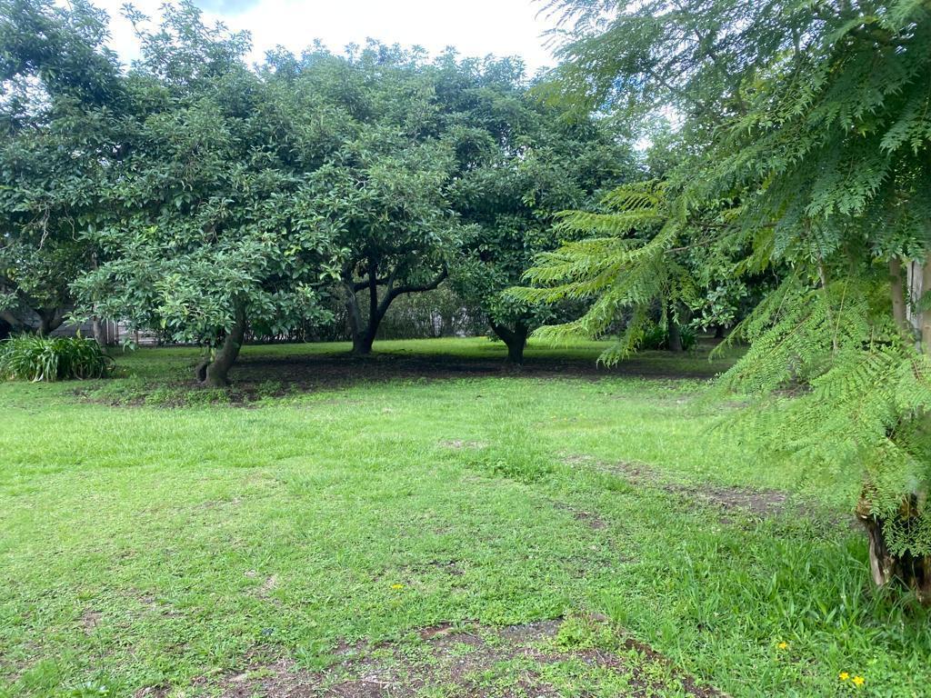 Terreno de Venta en Puembo Sector La Palma — imagen 9