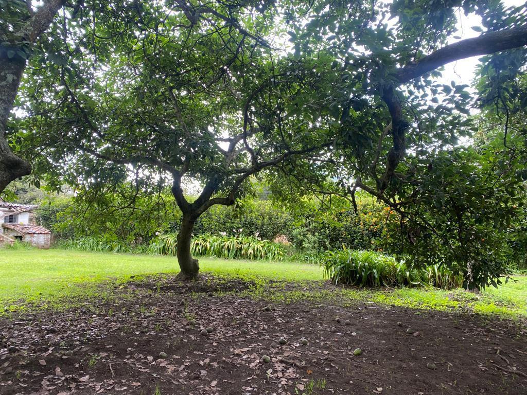 Terreno de Venta en Puembo Sector La Palma — imagen 6