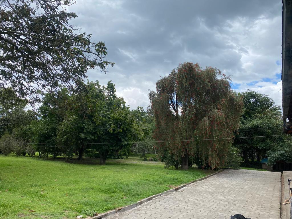 Terreno de Venta en Puembo Sector La Palma — imagen 3