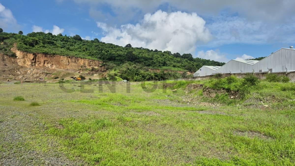 Venta de Macrolote Industrial de Alto Impacto en Petrillo – Nobol J. Zav, Guayas — imagen 10