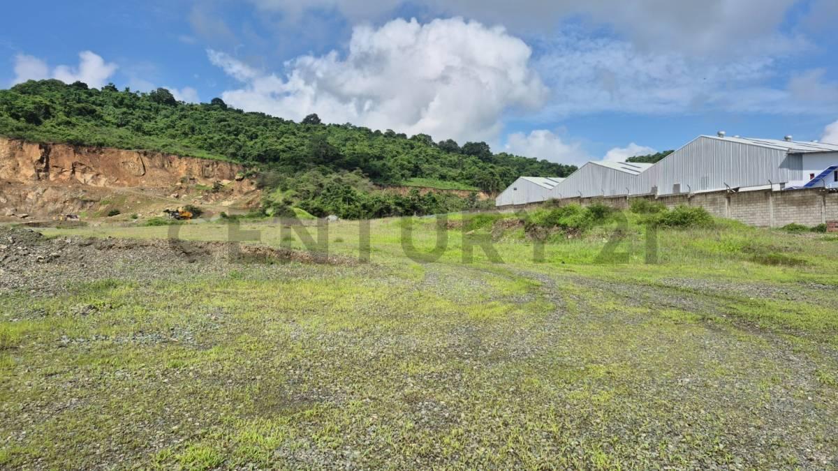 Venta de Macrolote Industrial de Alto Impacto en Petrillo – Nobol J. Zav, Guayas — imagen 9