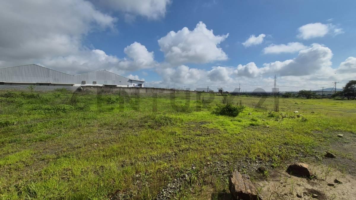 Venta de Macrolote Industrial de Alto Impacto en Petrillo – Nobol J. Zav, Guayas — imagen 8