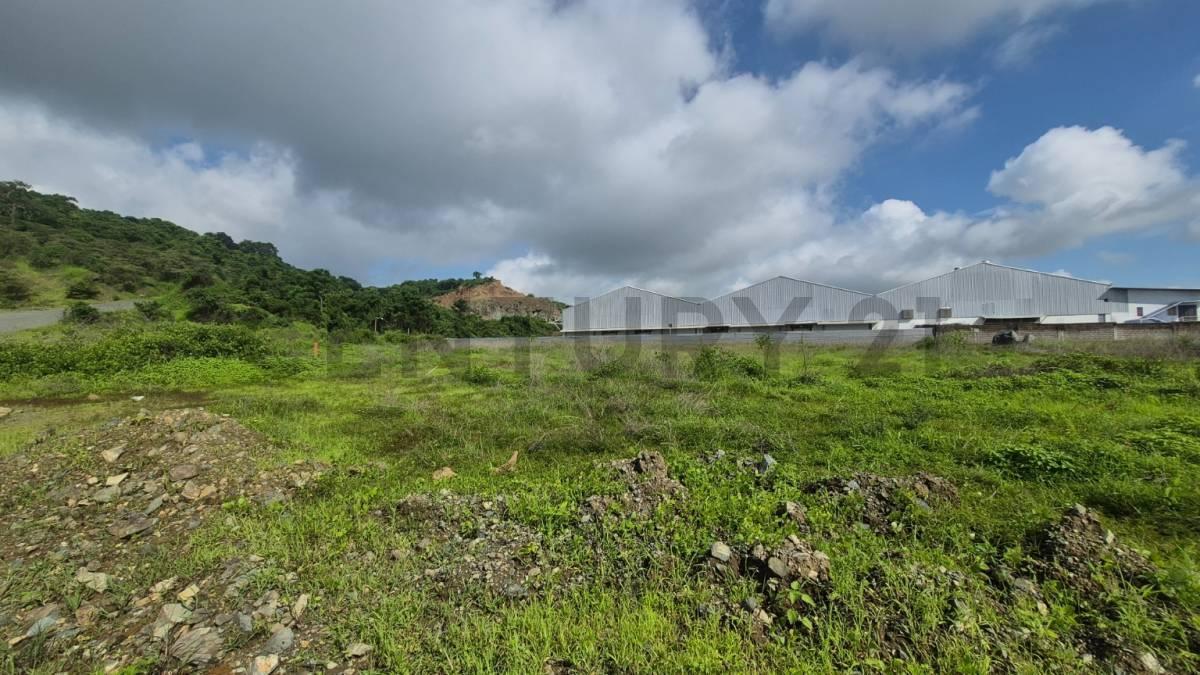 Venta de Macrolote Industrial de Alto Impacto en Petrillo – Nobol J. Zav, Guayas — imagen 7