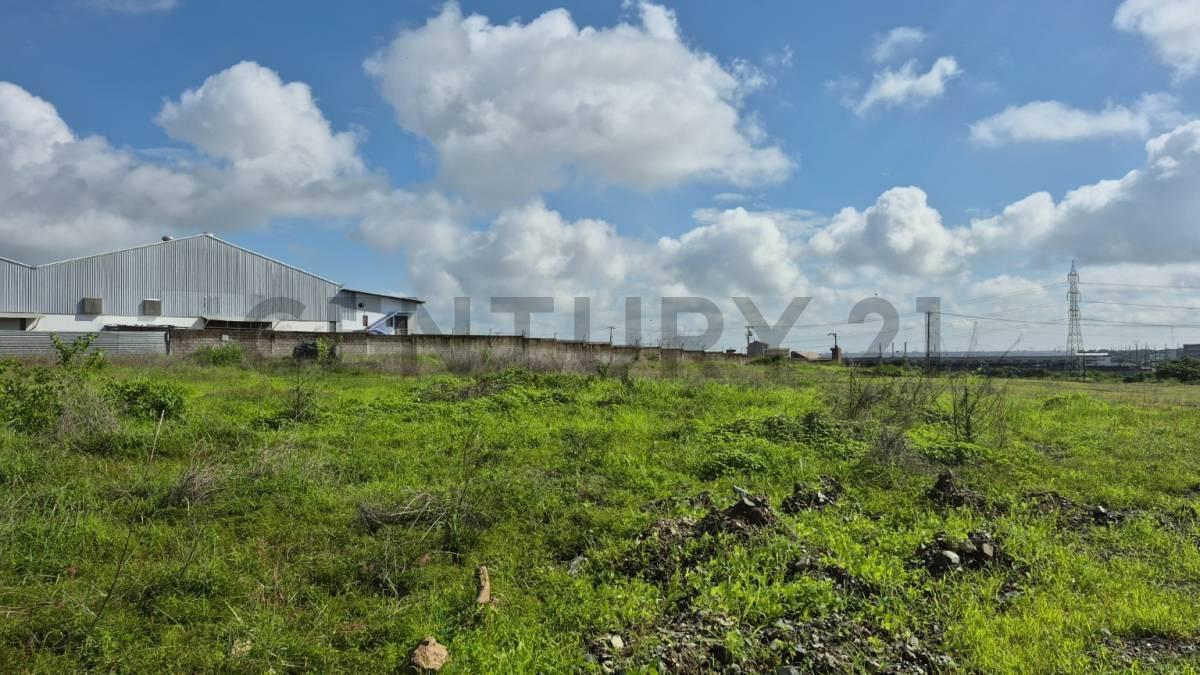 Venta de Macrolote Industrial de Alto Impacto en Petrillo – Nobol J. Zav, Guayas — imagen 6