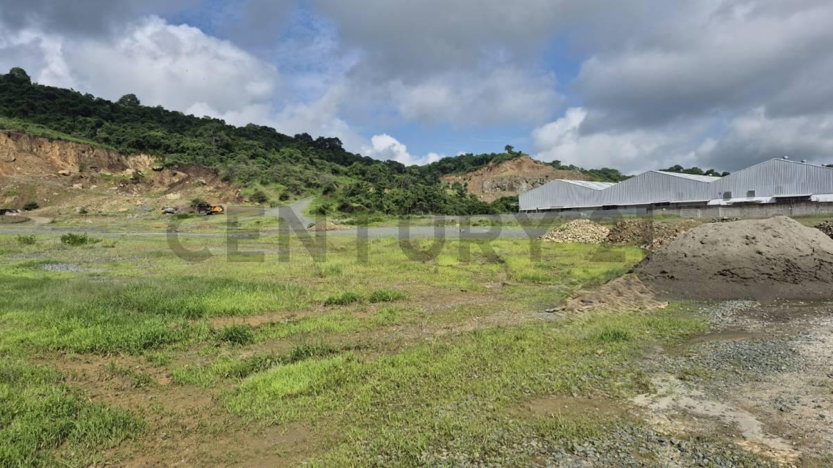 Venta de Macrolote Industrial de Alto Impacto en Petrillo – Nobol J. Zav, Guayas — imagen 5