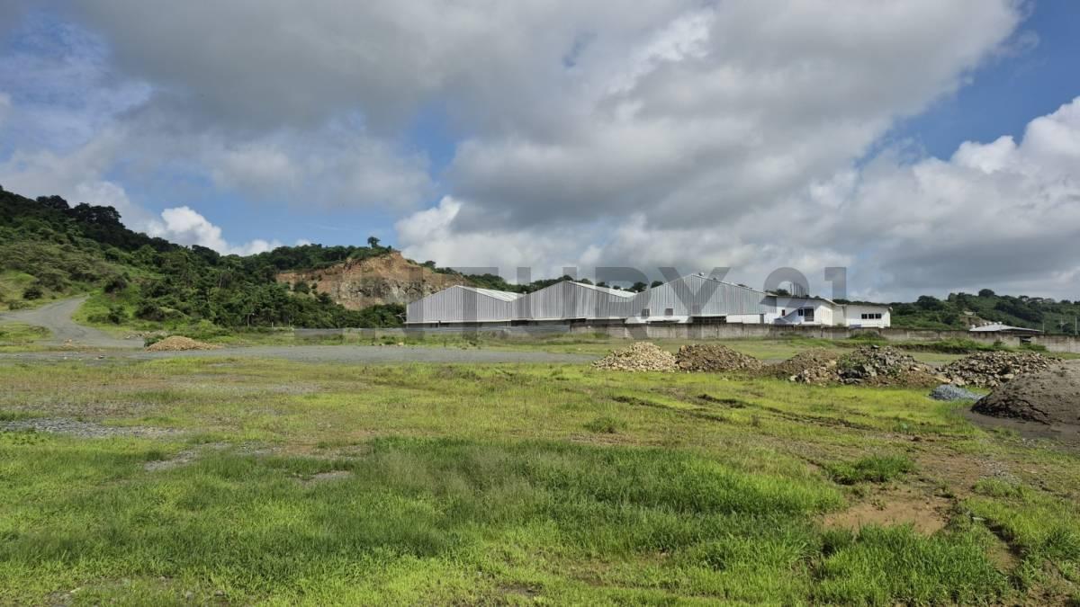 Venta de Macrolote Industrial de Alto Impacto en Petrillo – Nobol J. Zav, Guayas — imagen 4