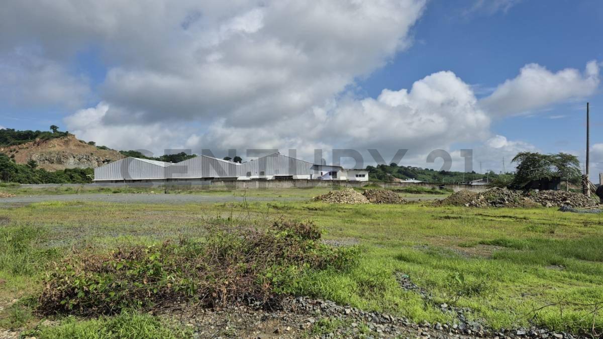 Venta de Macrolote Industrial de Alto Impacto en Petrillo – Nobol J. Zav, Guayas — imagen 3