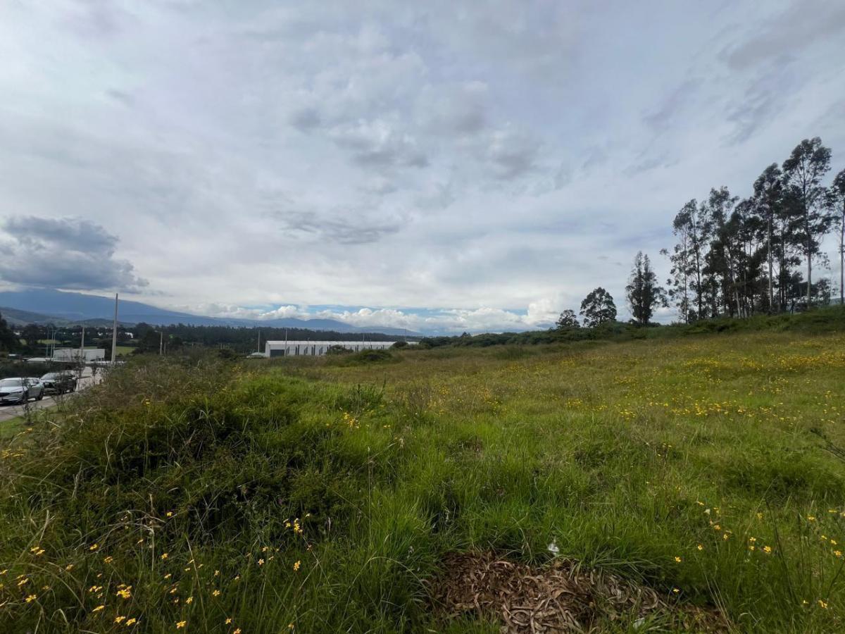 Mv - Sector Pifo, en Venta Terreno Indusrial de 9.954,67 m², Alto Impacto — imagen 5