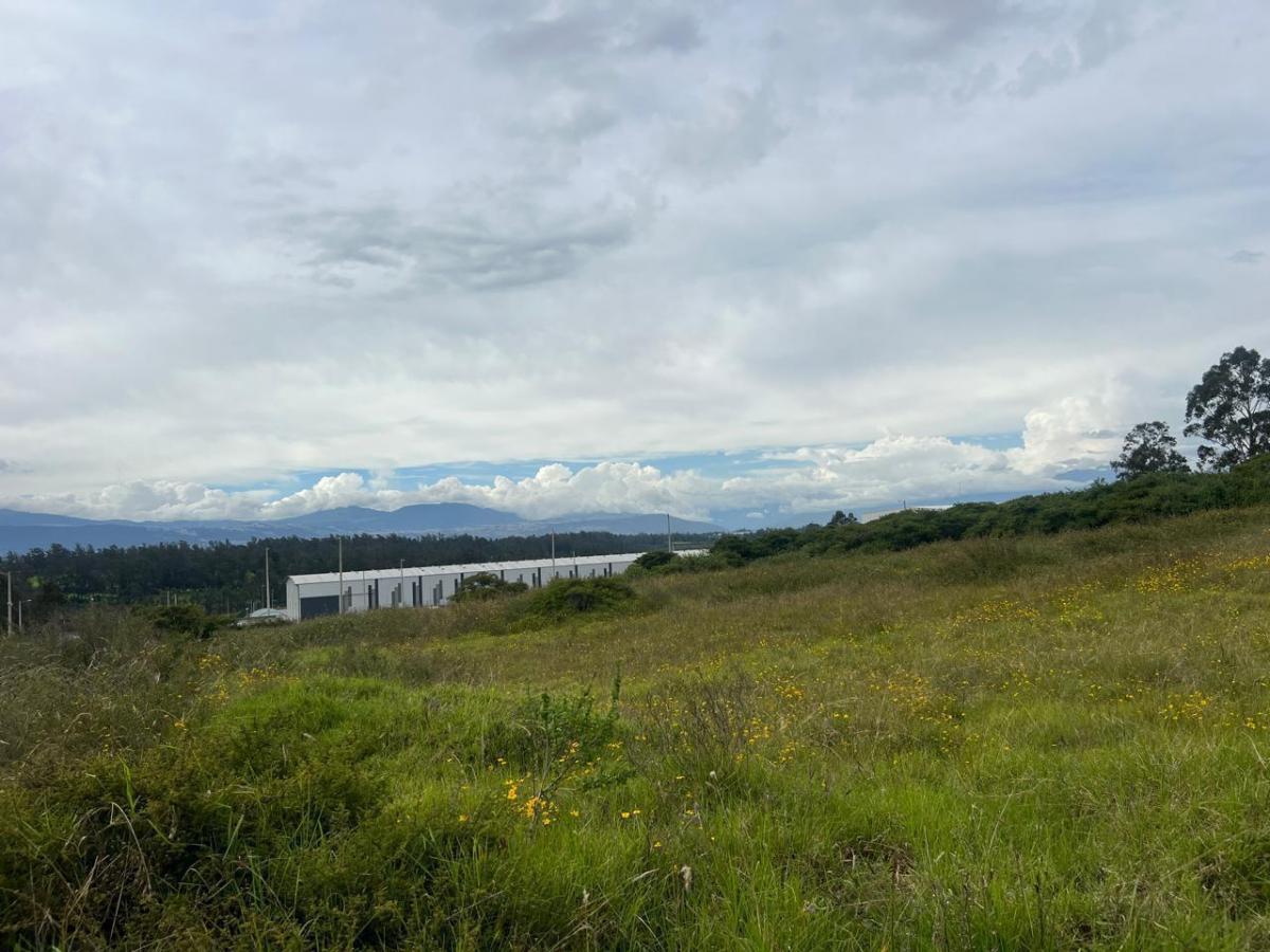 Mv - Sector Pifo, en Venta Terreno Indusrial de 9.954,67 m², Alto Impacto — imagen 4