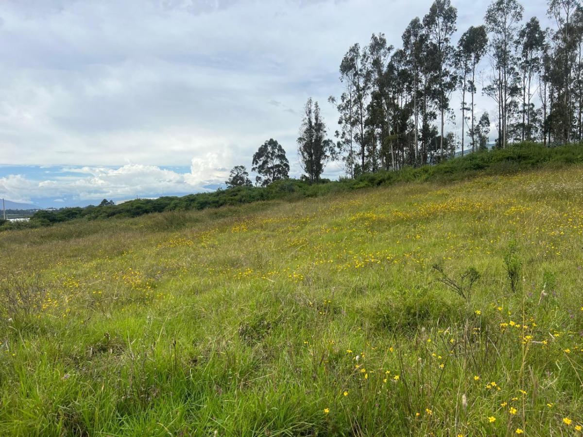 Mv - Sector Pifo, en Venta Terreno Indusrial de 9.954,67 m², Alto Impacto — imagen 3