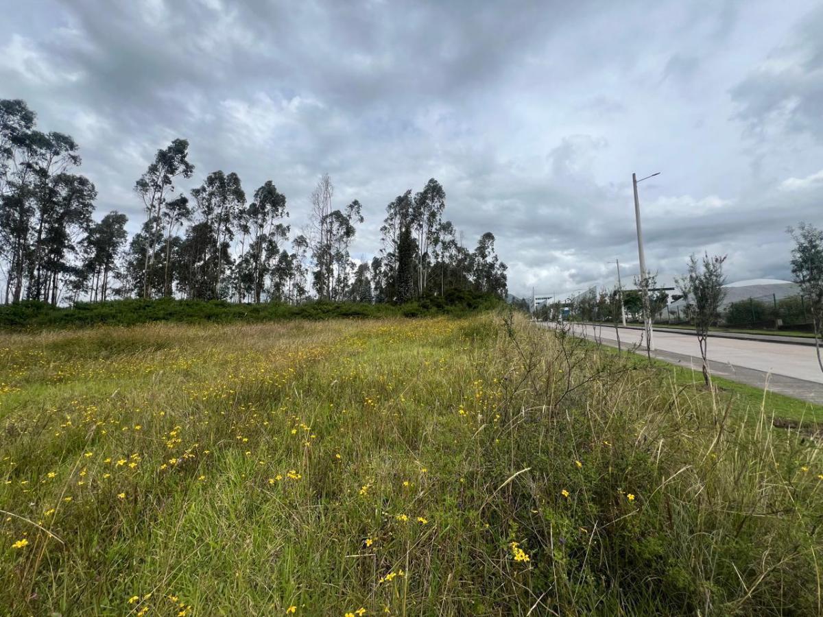 Mv - Sector Pifo, en Venta Terreno Indusrial de 9.954,67 m², Alto Impacto — imagen 2